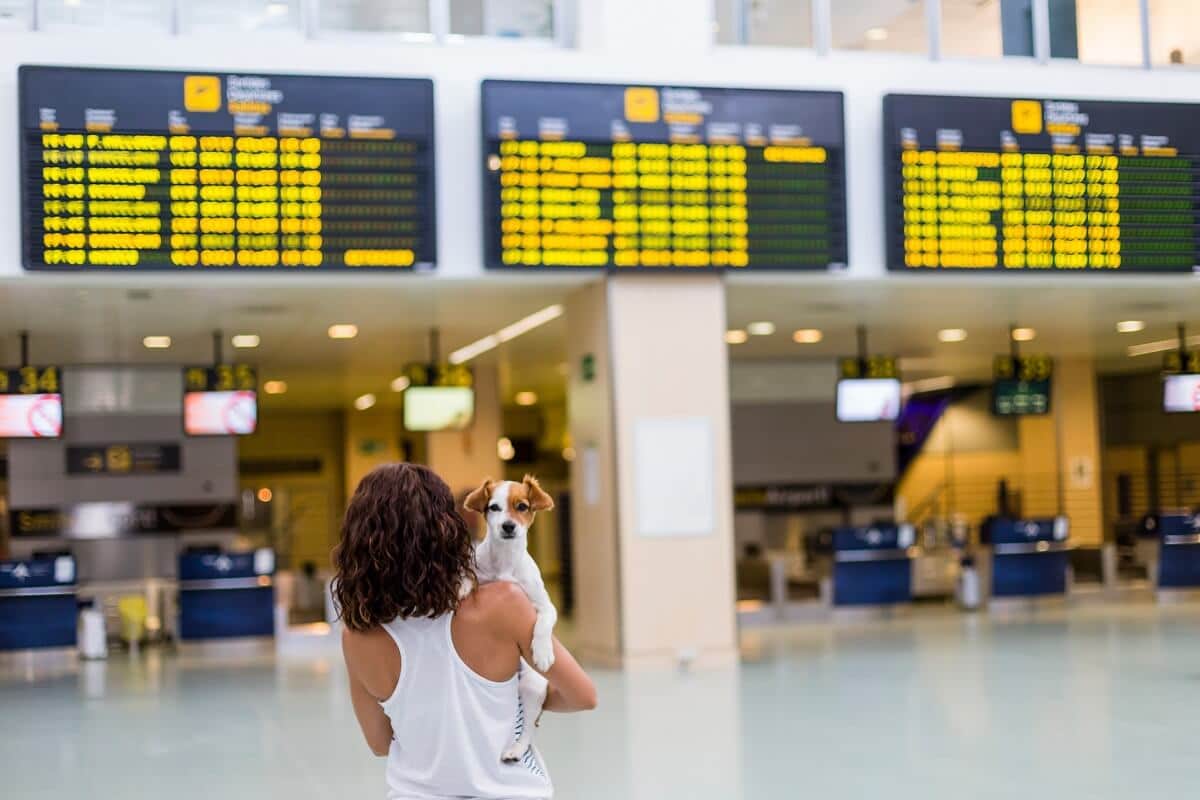 mulher indo para viagem internacional com cachorro